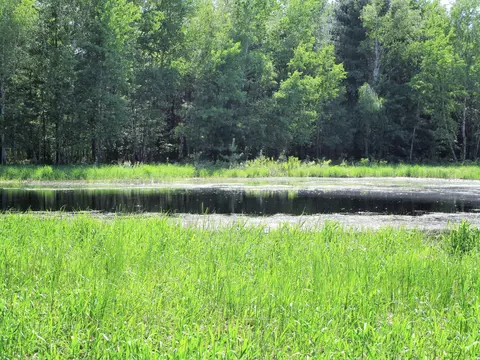 00 Old 35, Webster, WI 54893 photo 3