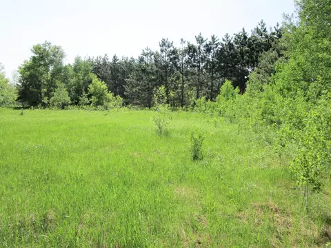 00 Old 35, Webster, WI 54893 photo 7