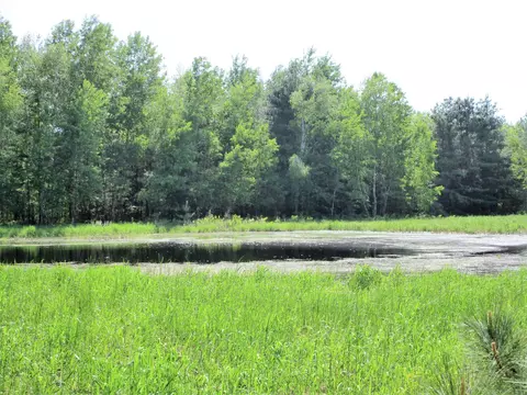 00 Old 35, Webster, WI 54893 photo 2