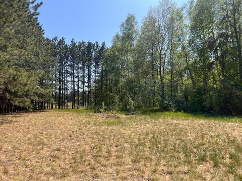 31649 Walnut Dr, Cass Lake, MN 56633