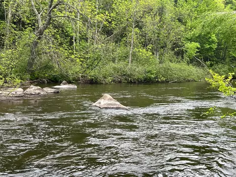 2982 State Highway 40, Radisson, WI 54867 photo 18