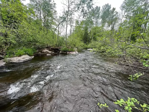 2982 State Highway 40, Radisson, WI 54867 photo 21