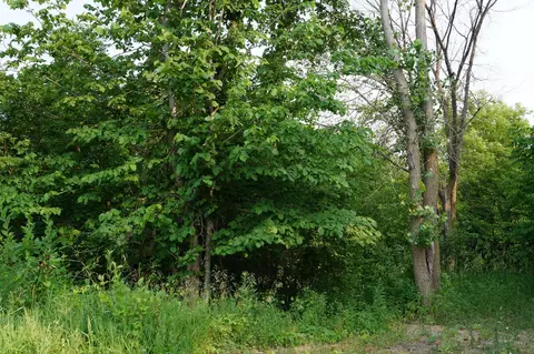 2122 Ruby Terrace Rd, Elmdale Twp, MN 56318