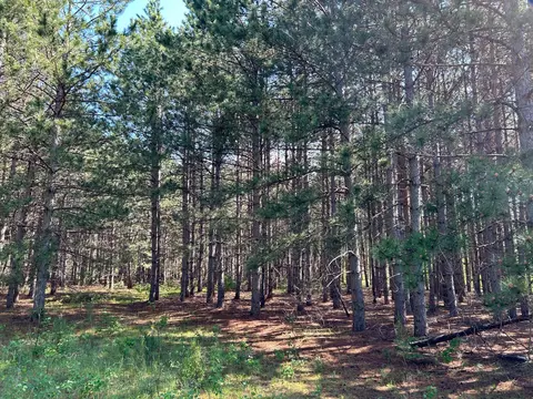 Lot1 Conifer Lane Sw, Sylvan Twp, MN 56473
