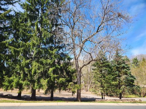 Nnnn Golden Court, Chanhassen, MN 55317
