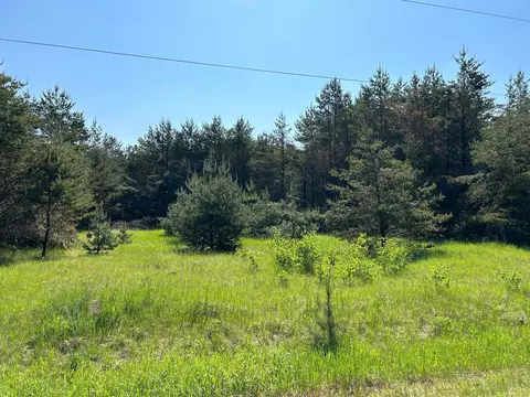 Lot3 Conifer Lane Sw, Sylvan Twp, MN 56473