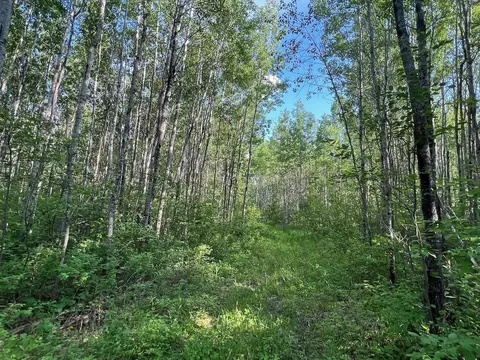 Tbd Sethers Rd, Greaney, MN 55771 photo 9