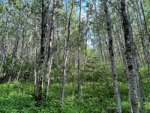 Tbd Sethers Rd, Greaney, MN 55771 photo 2