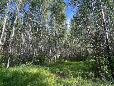 Tbd Sethers Rd, Greaney, MN 55771 photo 14