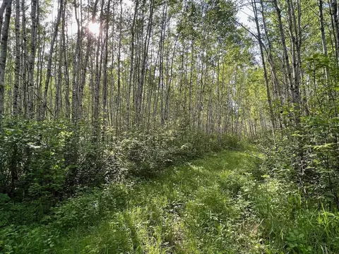 Tbd Sethers Rd, Greaney, MN 55771 photo 10