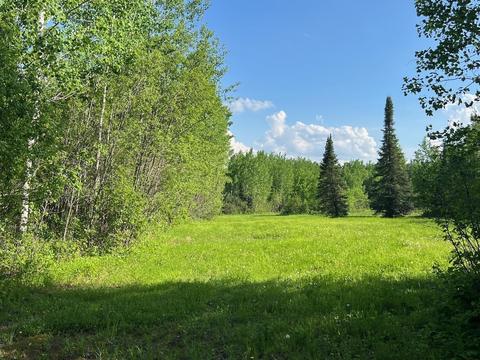 Tbd Sethers Rd, Greaney, MN 55771