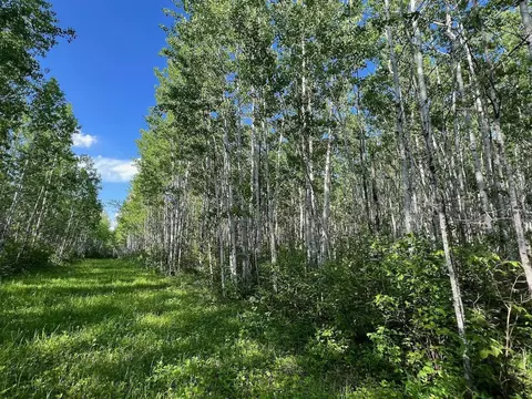 Tbd Sethers Rd, Greaney, MN 55771 photo 4