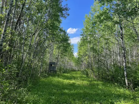 Tbd Sethers Rd, Greaney, MN 55771 photo 3