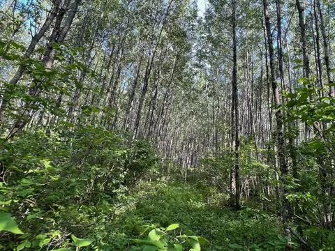 Tbd Sethers Rd, Greaney, MN 55771 photo 11