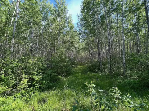 Tbd Sethers Rd, Greaney, MN 55771 photo 6