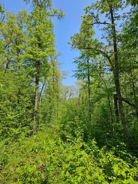 Lot A Tbd Fireweed Court, Mission Twp, MN 56442