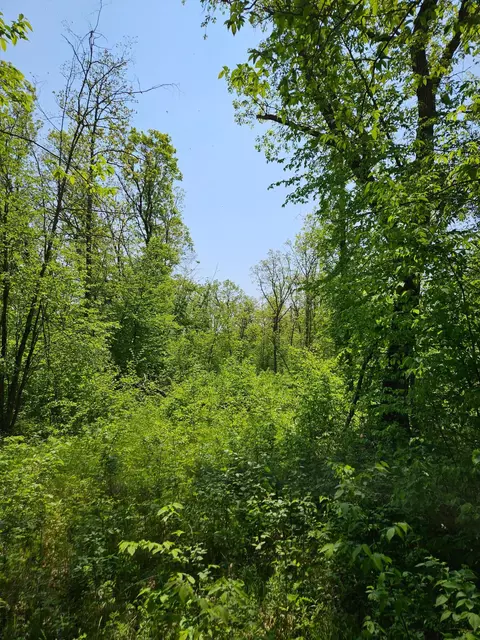 Lot B Tbd Fireweed Court, Mission Twp, MN 56442
