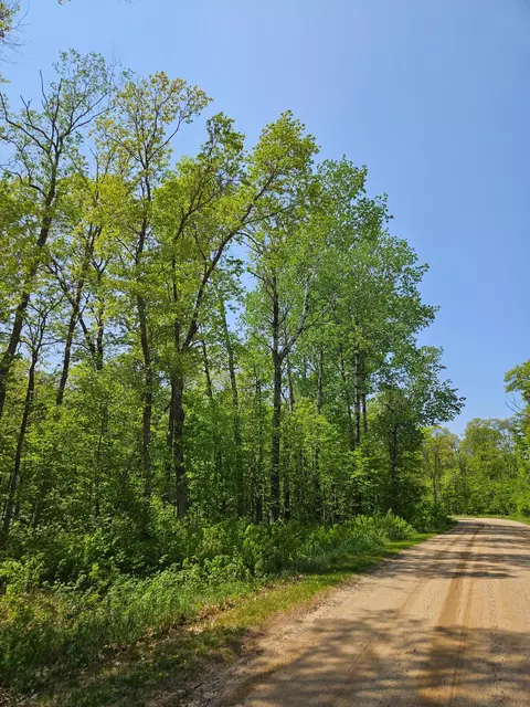 Lot D Tbd Fireweed Court, Mission Twp, MN 56442