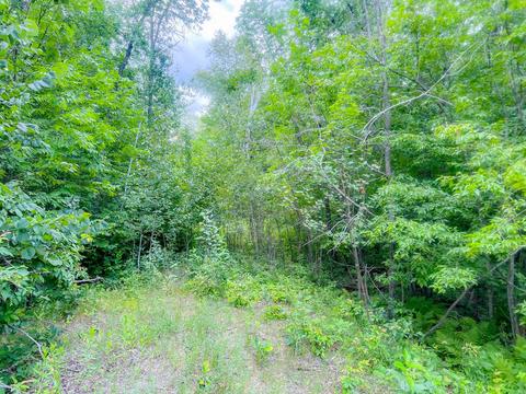 tbd Vagabond Loop, Farden Twp, MN 56601