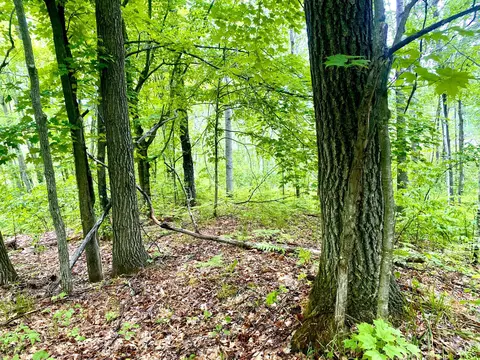 Tbd-5ac Velvet Street, Sandstone, MN 55072