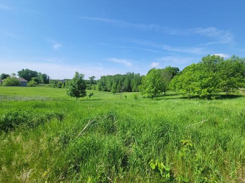 Tbd 714 Street, Lake City, MN 55041