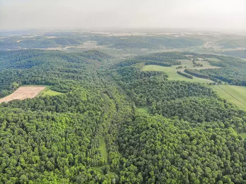 120 Acres 640th Ave, Knapp, WI 54749