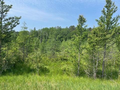 Abc County Highway 46, Park Rapids, MN 56470
