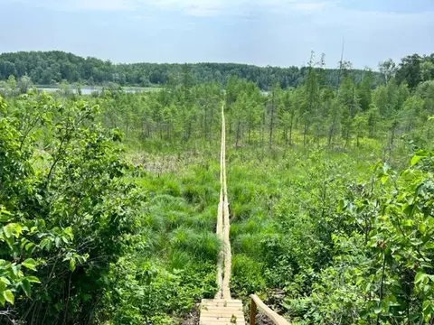tbd Dreamcatcher Dr, Clover Twp, MN 56470
