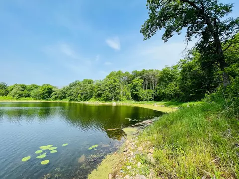 Tbd 250th Avenue, Maplewood Twp, MN 56534
