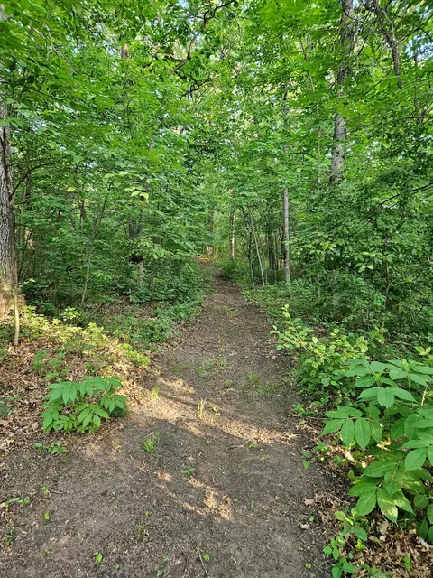 14123 Hollyhock Rd, Cold Spring, MN 56320 photo 29