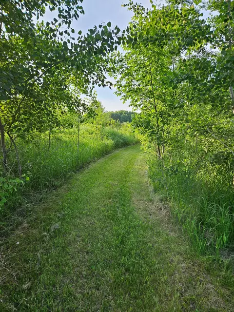 14123 Hollyhock Rd, Cold Spring, MN 56320 photo 28