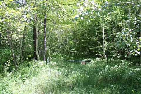 N4886 & N4862 Ben-thom Road, Beaver Brook Twp, WI 54801
