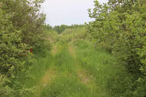 tbd 01 Creek Rd, Nashwauk Twp, MN 55769