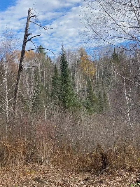 X Lost River Raod, Orr, MN 55771 photo 8