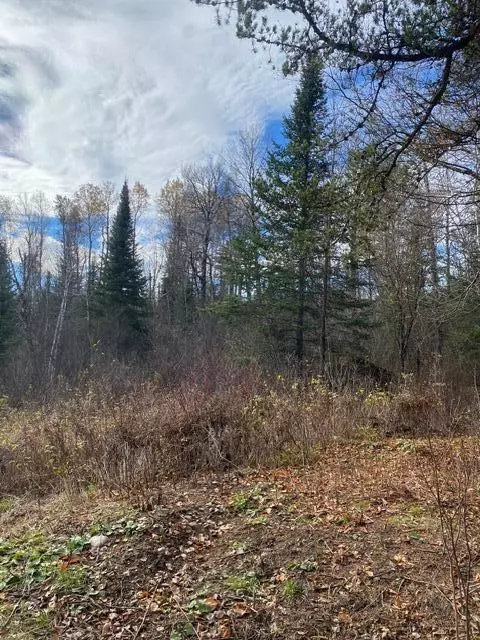 X Lost River Raod, Orr, MN 55771 photo 4