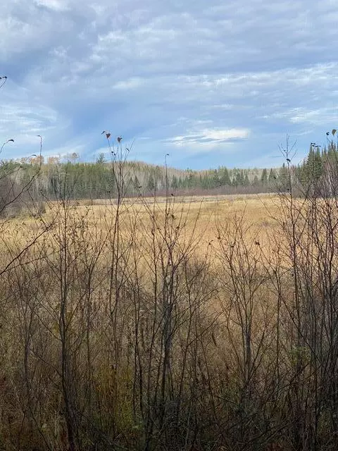 X Lost River Raod, Orr, MN 55771 photo 2
