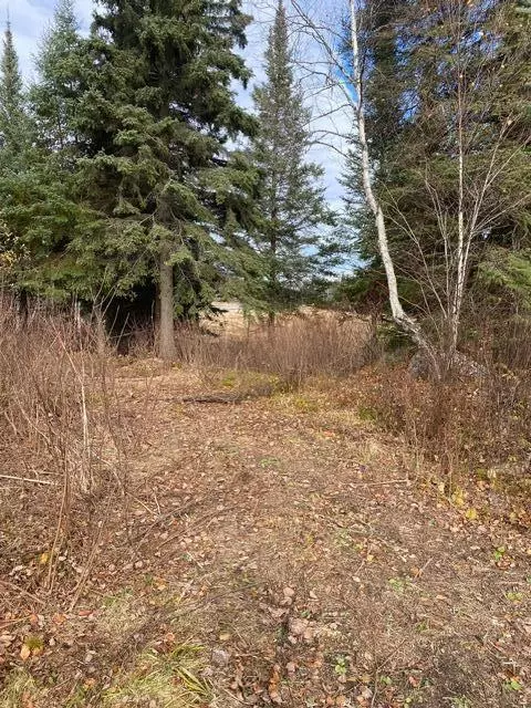 X Lost River Raod, Orr, MN 55771 photo 7