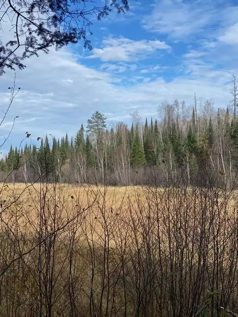 X Lost River Raod, Orr, MN 55771 photo 3