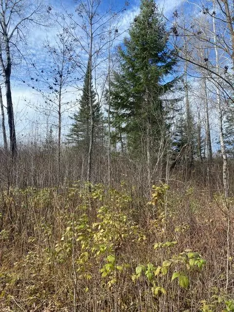 X Lost River Raod, Orr, MN 55771 photo 13