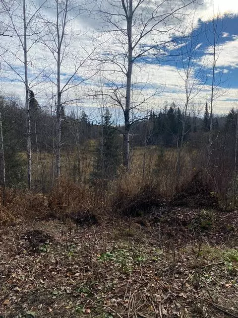 X Lost River Raod, Orr, MN 55771 photo 6