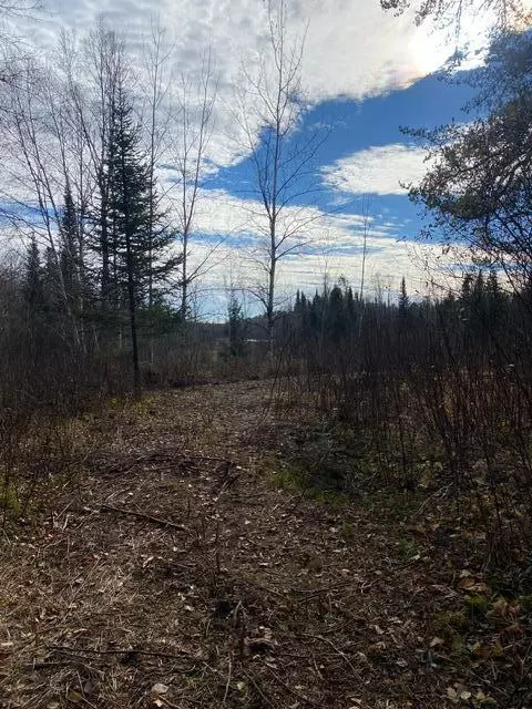 X Lost River Raod, Orr, MN 55771 photo 9