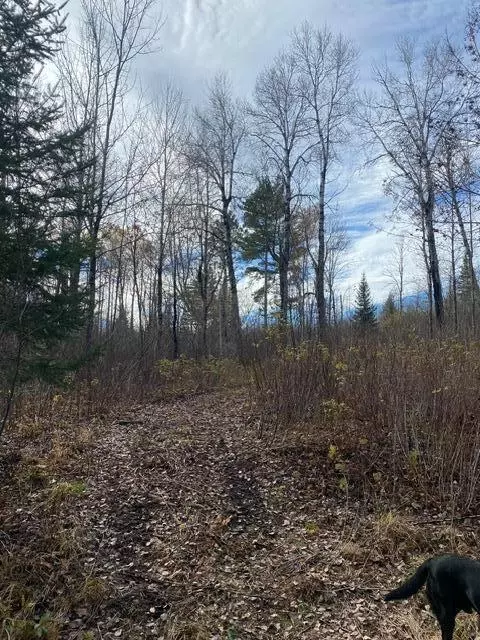 X Lost River Raod, Orr, MN 55771 photo 11