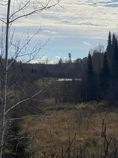X Lost River Raod, Orr, MN 55771