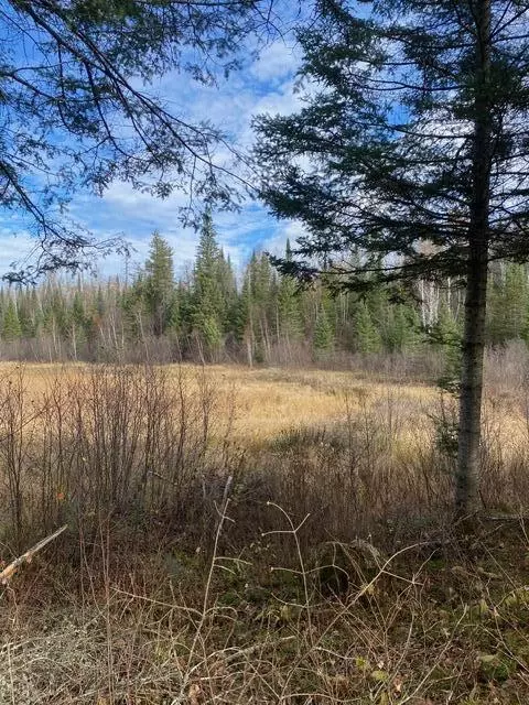 X Lost River Raod, Orr, MN 55771 photo 5
