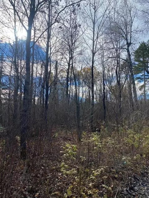 X Lost River Raod, Orr, MN 55771 photo 12