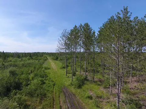 Nnnn State Highway 71, Big Falls, MN 56627
