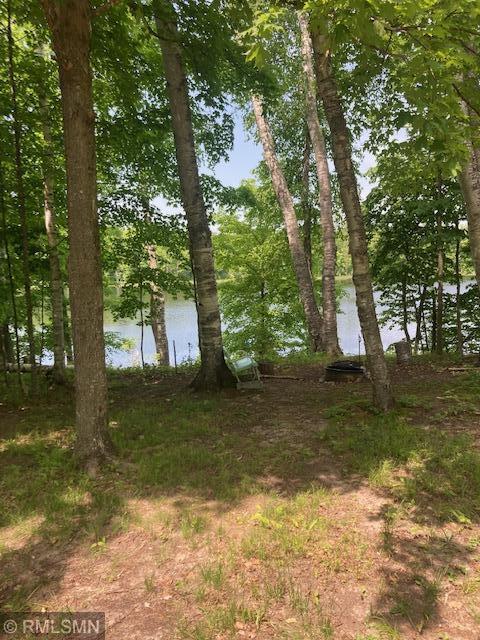 43097 310th Pl, Palisade, MN 56469