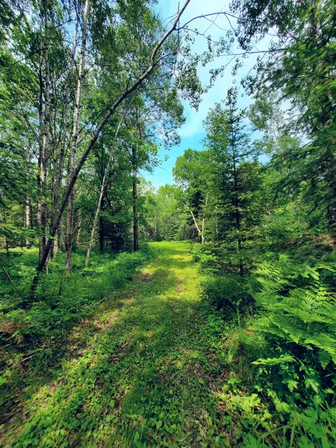 Tbd County Rd 39, Hart Lake Twp, MN 56461
