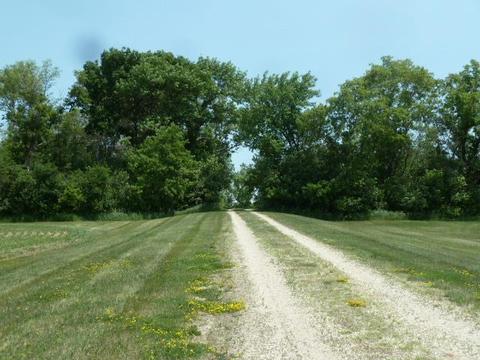 28422 Us Highway 59, Elbow Lake, MN 56531