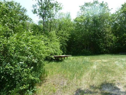Nnn Division Street, Elbow Lake, MN 56531